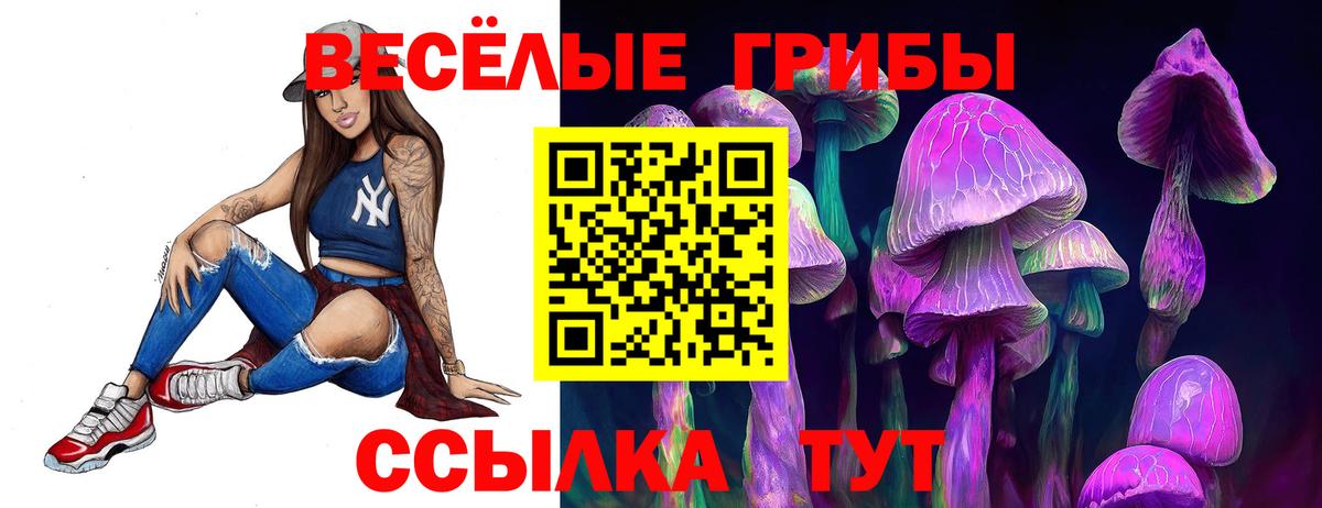Гулькевичи  Галлюциногенные грибы GOLDEN TEACHER  Вход с VPN 
